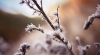 Don't Let Bad Weather